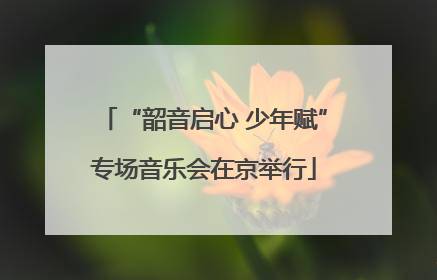 “韶音启心 少年赋”专场音乐会在京举行