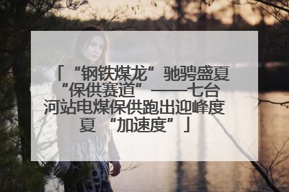 “钢铁煤龙”驰骋盛夏 “保供赛道”——七台河站电煤保供跑出迎峰度夏 “加速度”