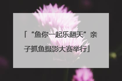 “鱼你一起乐翻天”亲子抓鱼摄影大赛举行