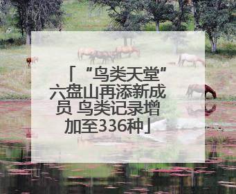 “鸟类天堂”六盘山再添新成员 鸟类记录增加至336种