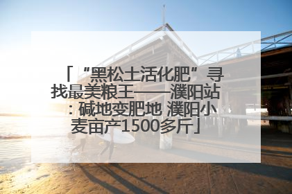 “黑松土活化肥”寻找最美粮王——濮阳站：碱地变肥地 濮阳小麦亩产1500多斤