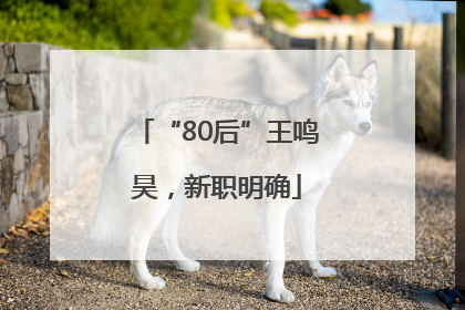 “80后”王鸣昊，新职明确