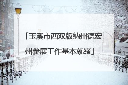 玉溪市西双版纳州德宏州参展工作基本就绪