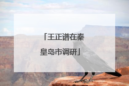 王正谱在秦皇岛市调研