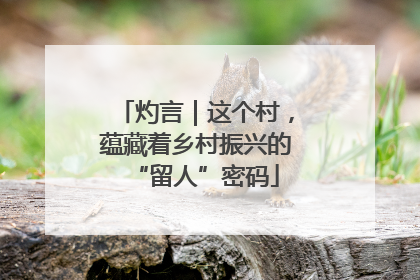 灼言｜这个村，蕴藏着乡村振兴的“留人”密码