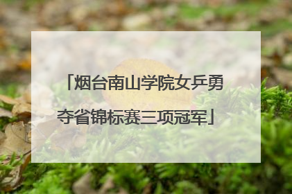 烟台南山学院女乒勇夺省锦标赛三项冠军
