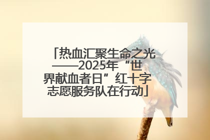 热血汇聚生命之光——2025年“世界献血者日”红十字志愿服务队在行动