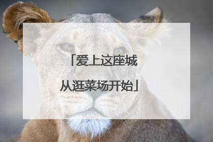 爱上这座城 从逛菜场开始
