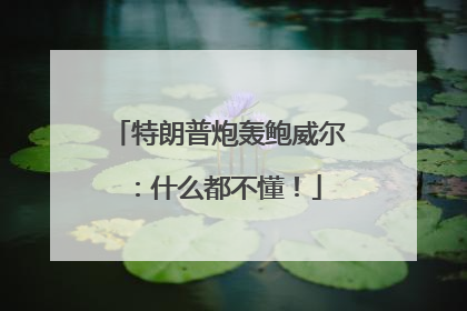 特朗普炮轰鲍威尔：什么都不懂！