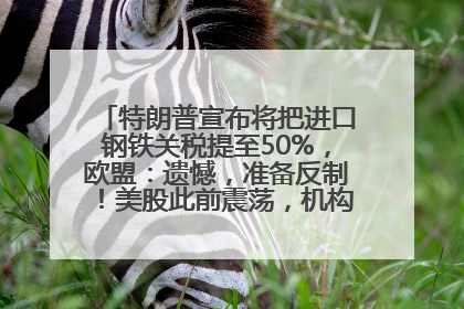 特朗普宣布将把进口钢铁关税提至50%，欧盟：遗憾，准备反制！美股此前震荡，机构：美元正进入熊市