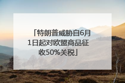 特朗普威胁自6月1日起对欧盟商品征收50%关税