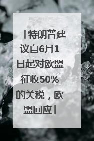 特朗普建议自6月1日起对欧盟征收50%的关税，欧盟回应