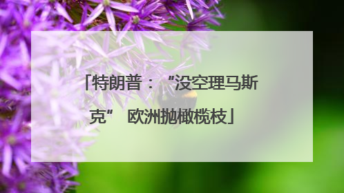 特朗普：“没空理马斯克” 欧洲抛橄榄枝