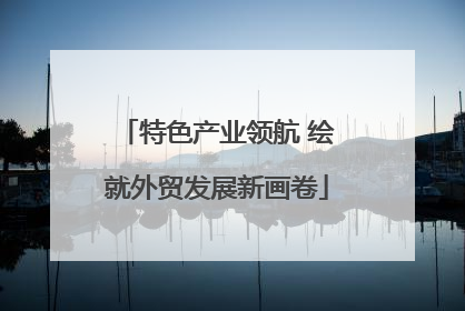 特色产业领航 绘就外贸发展新画卷