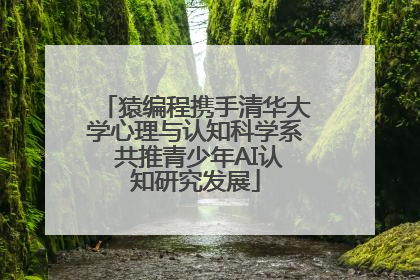 猿编程携手清华大学心理与认知科学系 共推青少年AI认知研究发展
