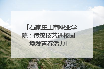 石家庄工商职业学院：传统技艺进校园焕发青春活力