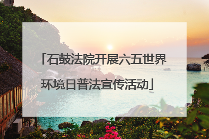 石鼓法院开展六五世界环境日普法宣传活动