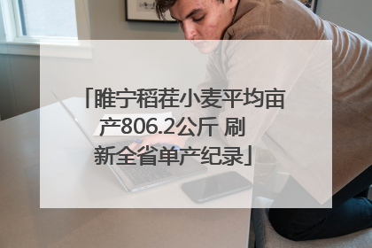 睢宁稻茬小麦平均亩产806.2公斤 刷新全省单产纪录
