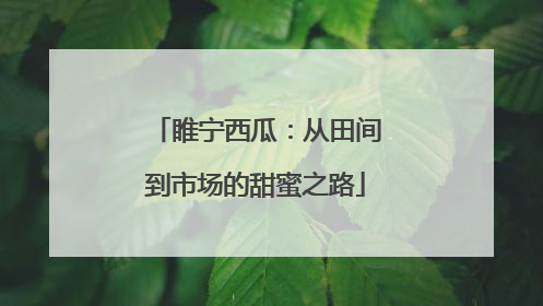 睢宁西瓜：从田间到市场的甜蜜之路