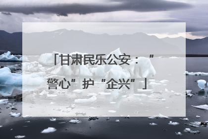 甘肃民乐公安：“警心”护“企兴”