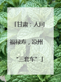 甘肃：人间福禄寿，凉州“三套车”