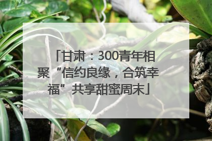 甘肃：300青年相聚“信约良缘，合筑幸福”共享甜蜜周末