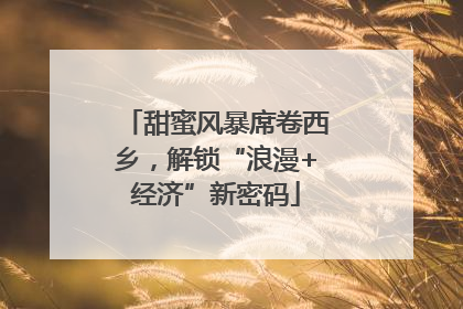 甜蜜风暴席卷西乡，解锁“浪漫+经济”新密码