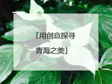用创意探寻青海之美