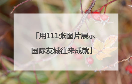 用111张图片展示国际友城往来成就