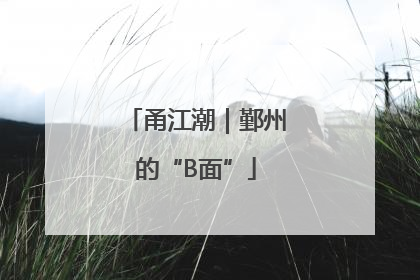 甬江潮｜鄞州的“B面”