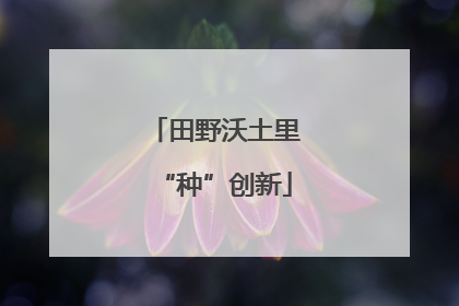 田野沃土里“种”创新