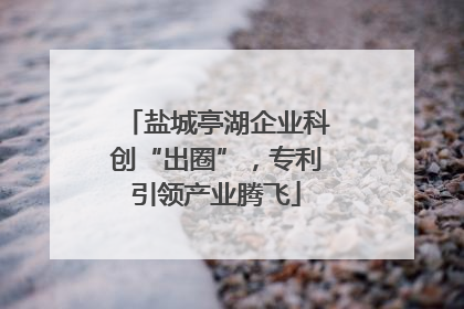 盐城亭湖企业科创“出圈”，专利引领产业腾飞