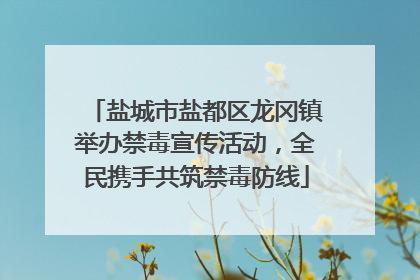 盐城市盐都区龙冈镇举办禁毒宣传活动，全民携手共筑禁毒防线