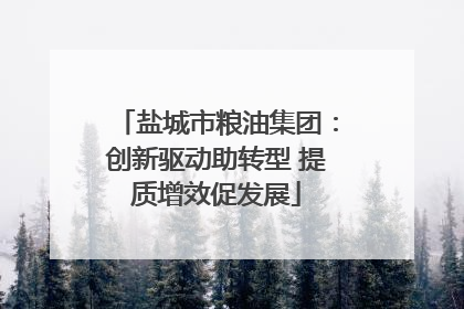 盐城市粮油集团：创新驱动助转型 提质增效促发展