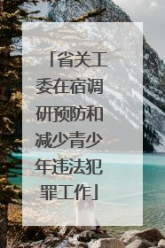 省关工委在宿调研预防和减少青少年违法犯罪工作