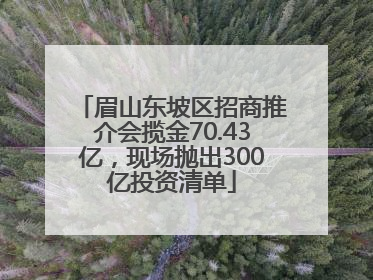眉山东坡区招商推介会揽金70.43亿，现场抛出300亿投资清单