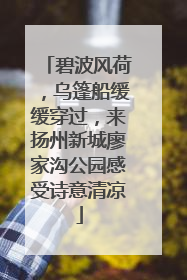 碧波风荷，乌篷船缓缓穿过，来扬州新城廖家沟公园感受诗意清凉