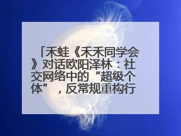 禾蛙《禾禾同学会》对话欧阳泽林：社交网络中的“超级个体”，反常规重构行业生态！