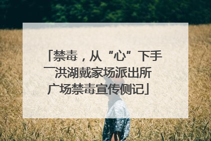 禁毒，从“心”下手――洪湖戴家场派出所广场禁毒宣传侧记