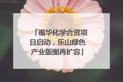 福华化学合资项目启动，乐山绿色产业版图再扩容