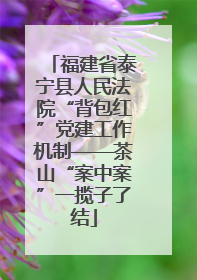 福建省泰宁县人民法院“背包红”党建工作机制——茶山“案中案”一揽子了结