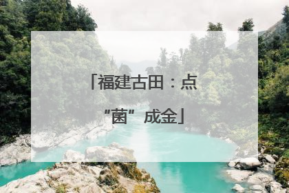 福建古田：点“菌”成金