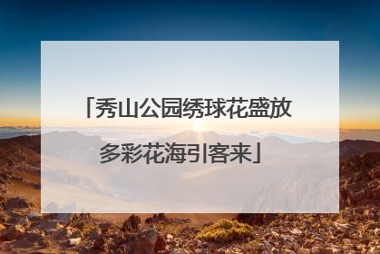 秀山公园绣球花盛放 多彩花海引客来