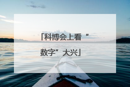 科博会上看“数字”大兴