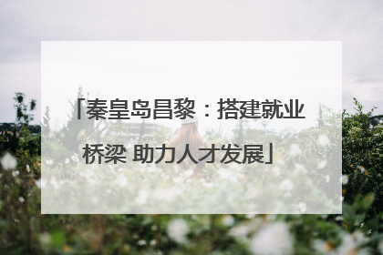 秦皇岛昌黎：搭建就业桥梁 助力人才发展