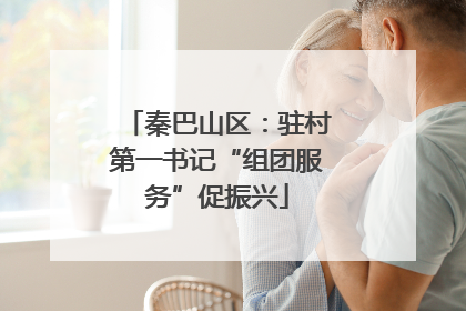 秦巴山区：驻村第一书记“组团服务”促振兴