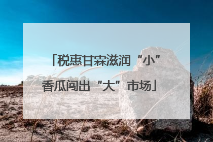 税惠甘霖滋润“小”香瓜闯出“大”市场