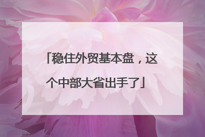稳住外贸基本盘，这个中部大省出手了