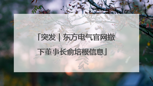 突发｜东方电气官网撤下董事长俞培根信息