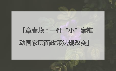 章春燕：一件“小”案推动国家层面政策法规改变